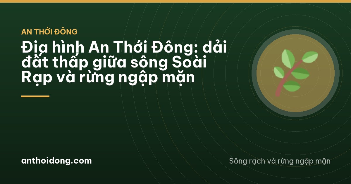 Địa hình An Thới Đông: dải đất thấp giữa sông Soài Rạp và rừng ngập mặn